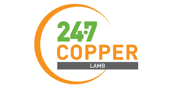 24.7 COPPER LAMB