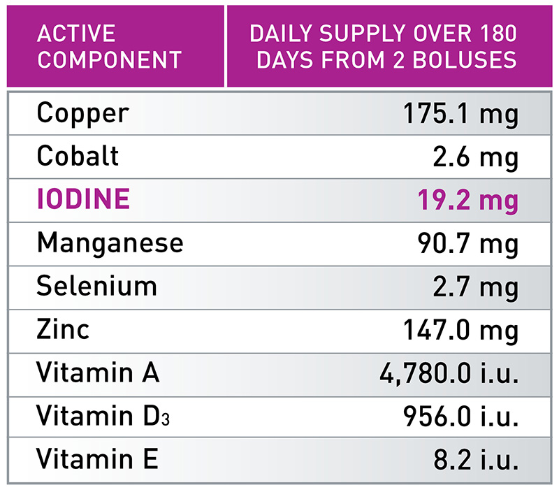 ALL-TRACE HIGH IODINE CATTLE