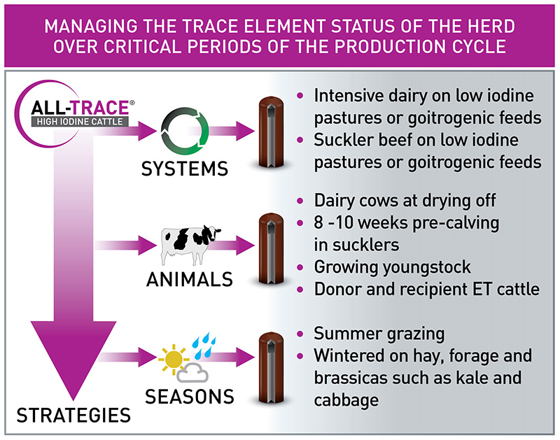 ALL-TRACE High Iodine