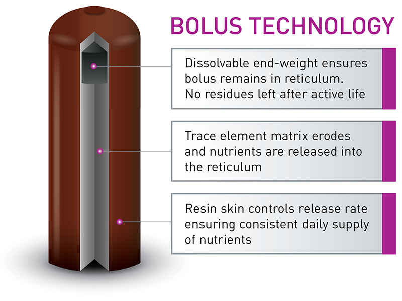 ALL-TRACE High Iodine