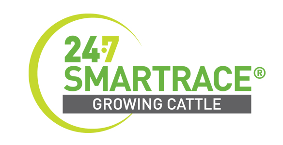 24·7 SMARTRACE® GROWING CATTLE