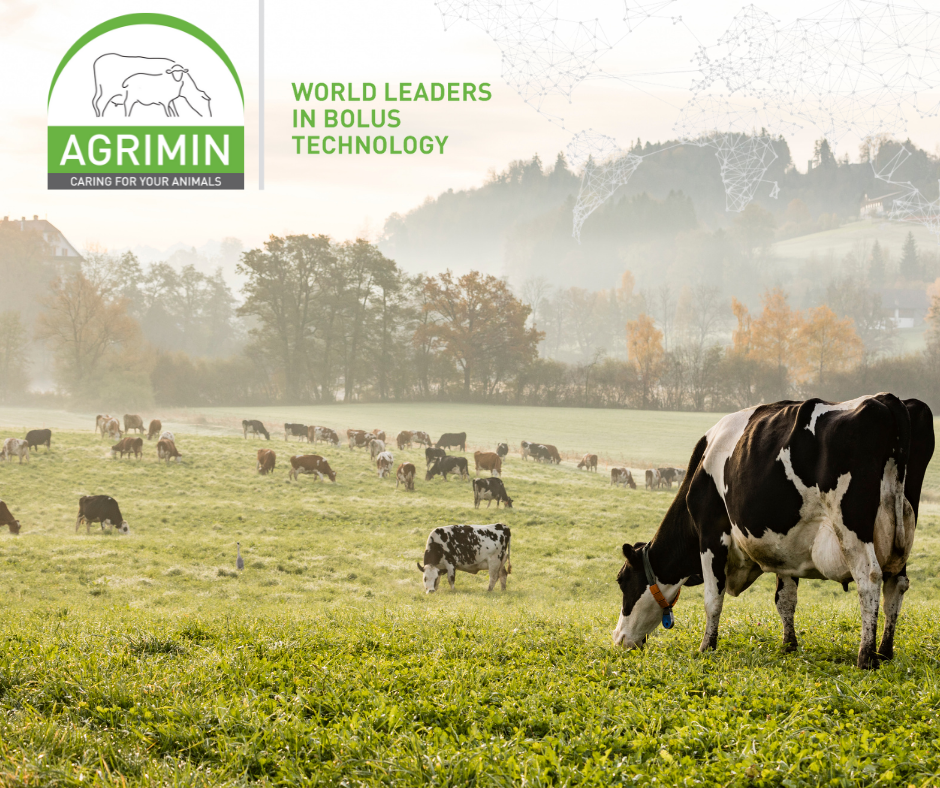 10% Cash Back in Support of the Transition Period | Agrimin