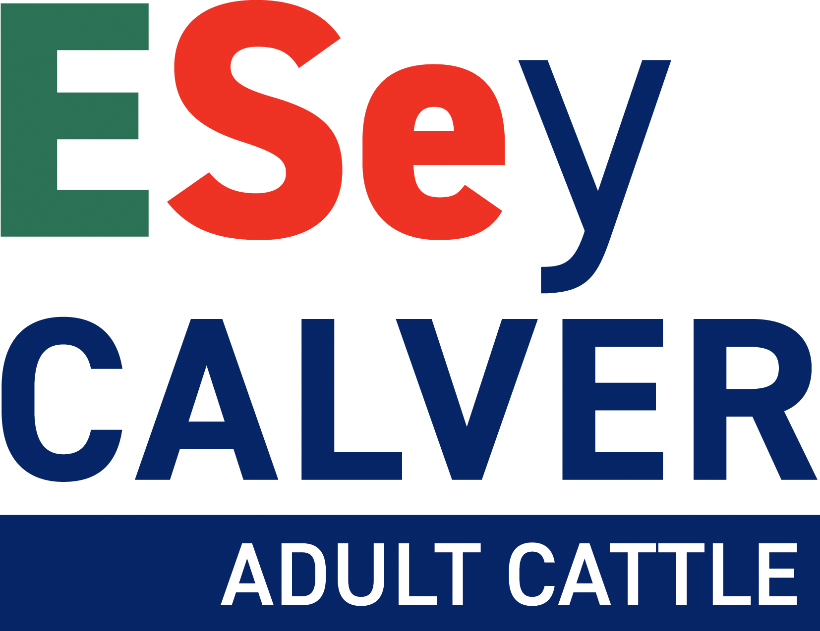 Beef Cattle ESey CALVER ADULT CATTLE