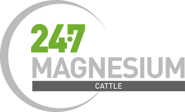 24·7 MAGNESIUM