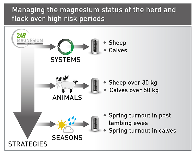 24·7  MAGNESIUM SHEEP/CALVES